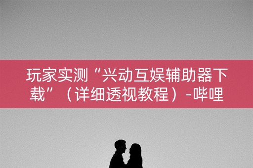 玩家实测“兴动互娱辅助器下载”（详细透视教程）-哔哩哔哩
