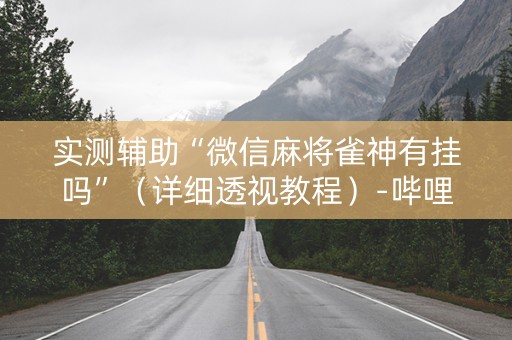 实测辅助“微信麻将雀神有挂吗”（详细透视教程）-哔哩哔哩