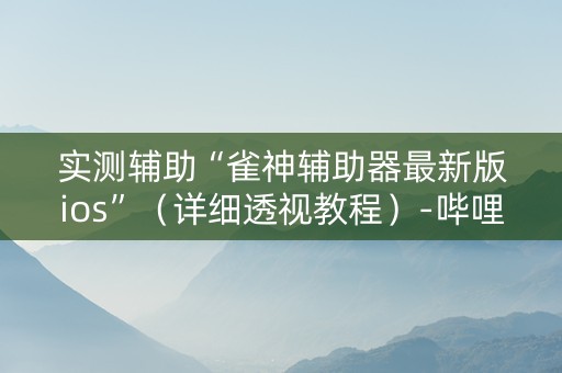 实测辅助“雀神辅助器最新版ios”（详细透视教程）-哔哩哔哩
