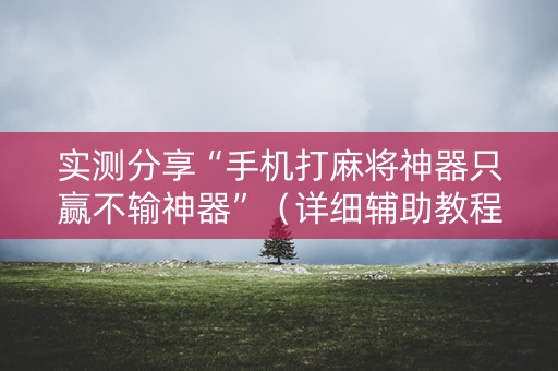 实测分享“手机打麻将神器只赢不输神器”（详细辅助教程）-哔哩哔哩