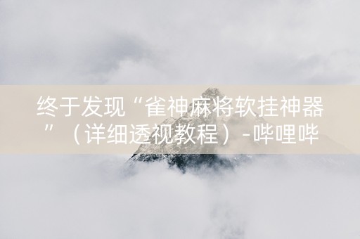 终于发现“雀神麻将软挂神器”（详细透视教程）-哔哩哔哩