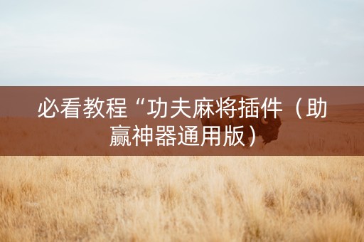 必看教程“功夫麻将插件（助赢神器通用版）