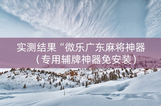 实测结果“微乐广东麻将神器（专用辅牌神器免安装）