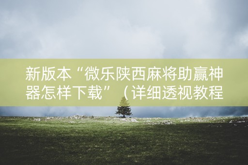新版本“微乐陕西麻将助赢神器怎样下载”（详细透视教程）-哔哩哔哩