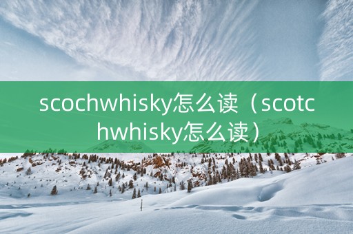 scochwhisky怎么读（scotchwhisky怎么读）