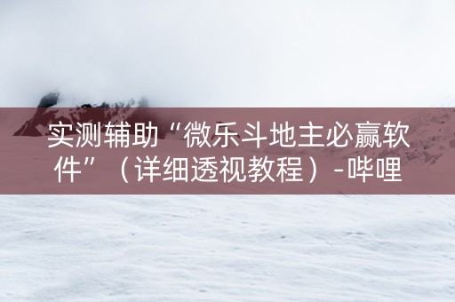 实测辅助“微乐斗地主必赢软件”（详细透视教程）-哔哩哔哩
