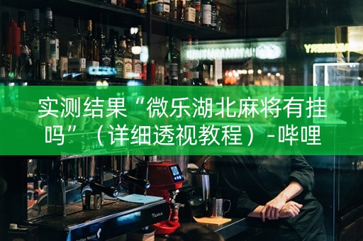 实测结果“微乐湖北麻将有挂吗”（详细透视教程）-哔哩哔哩
