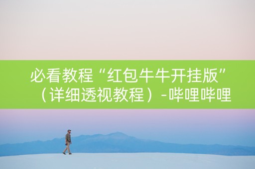 必看教程“红包牛牛开挂版”（详细透视教程）-哔哩哔哩
