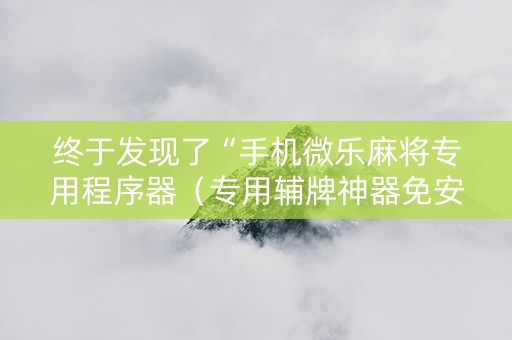 终于发现了“手机微乐麻将专用程序器（专用辅牌神器免安装）