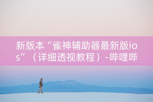 新版本“雀神辅助器最新版ios”（详细透视教程）-哔哩哔哩