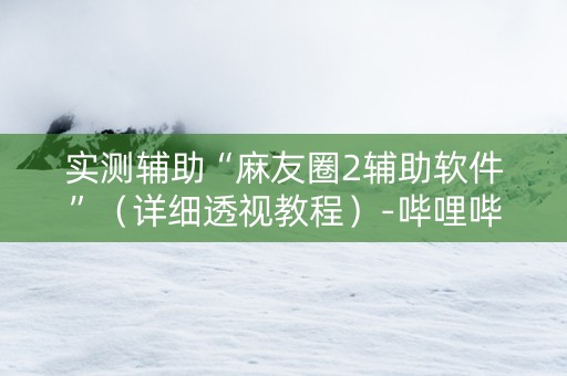 实测辅助“麻友圈2辅助软件”（详细透视教程）-哔哩哔哩