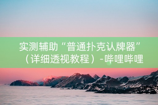实测辅助“普通扑克认牌器”（详细透视教程）-哔哩哔哩