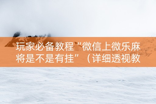 玩家必备教程“微信上微乐麻将是不是有挂”（详细透视教程）-哔哩哔哩