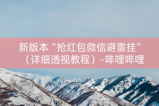 新版本“抢红包微信避雷挂”（详细透视教程）-哔哩哔哩
