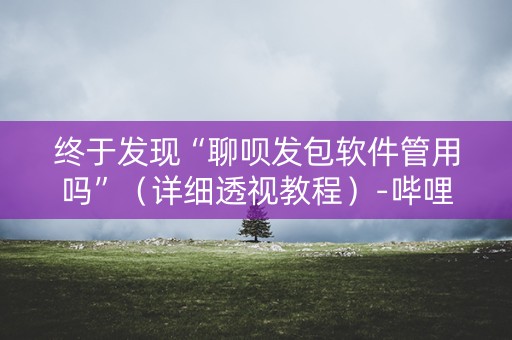 终于发现“聊呗发包软件管用吗”（详细透视教程）-哔哩哔哩