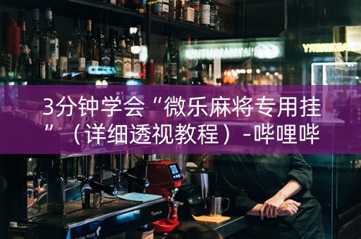 3分钟学会“微乐麻将专用挂”（详细透视教程）-哔哩哔哩