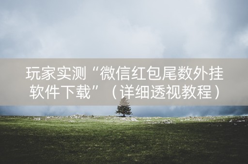 玩家实测“微信红包尾数外挂软件下载”（详细透视教程）-哔哩哔哩
