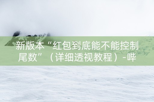 新版本“红包到底能不能控制尾数”（详细透视教程）-哔哩哔哩