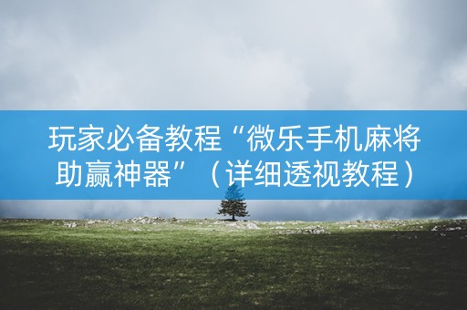 玩家必备教程“微乐手机麻将助赢神器”（详细透视教程）-哔哩哔哩
