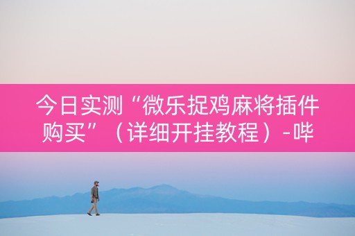 今日实测“微乐捉鸡麻将插件购买”（详细开挂教程）-哔哩哔哩