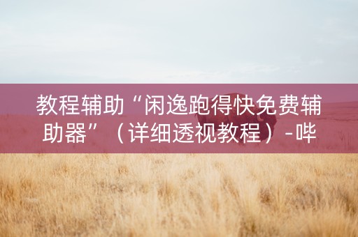 教程辅助“闲逸跑得快免费辅助器”（详细透视教程）-哔哩哔哩