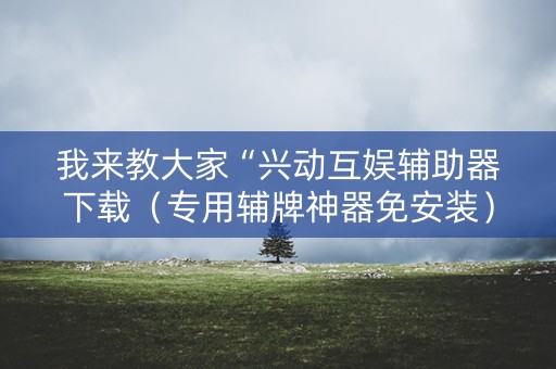 我来教大家“兴动互娱辅助器下载（专用辅牌神器免安装）