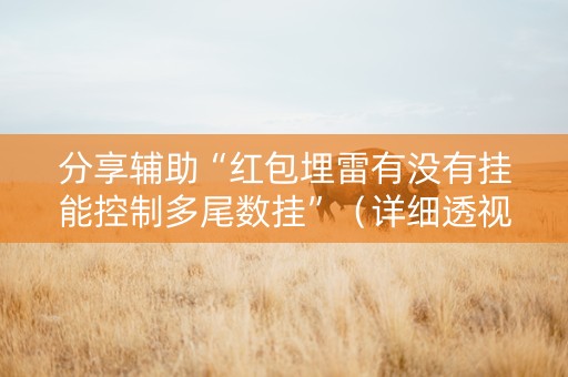 分享辅助“红包埋雷有没有挂能控制多尾数挂”（详细透视教程）-哔哩哔哩