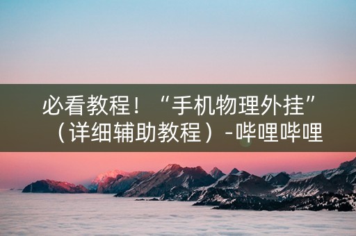 必看教程！“手机物理外挂”（详细辅助教程）-哔哩哔哩
