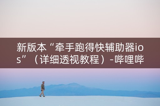新版本“牵手跑得快辅助器ios”（详细透视教程）-哔哩哔哩