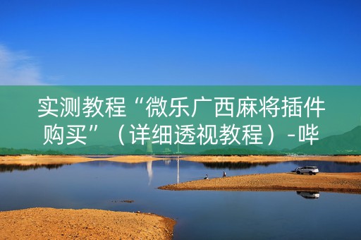 实测教程“微乐广西麻将插件购买”（详细透视教程）-哔哩哔哩