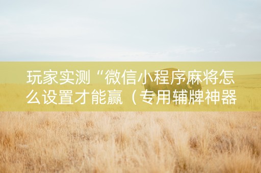 玩家实测“微信小程序麻将怎么设置才能赢（专用辅牌神器免安装）