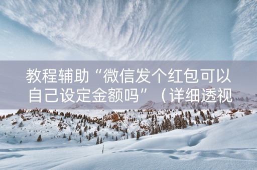 教程辅助“微信发个红包可以自己设定金额吗”（详细透视教程）-哔哩哔哩