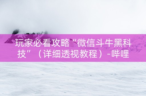 玩家必看攻略“微信斗牛黑科技”（详细透视教程）-哔哩哔哩