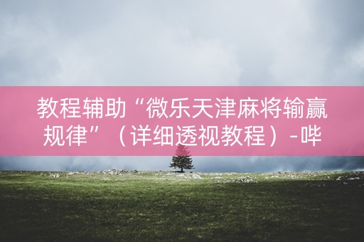 教程辅助“微乐天津麻将输赢规律”（详细透视教程）-哔哩哔哩
