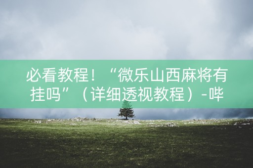 必看教程！“微乐山西麻将有挂吗”（详细透视教程）-哔哩哔哩