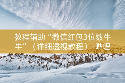 教程辅助“微信红包3位数牛牛”（详细透视教程）-哔哩哔哩