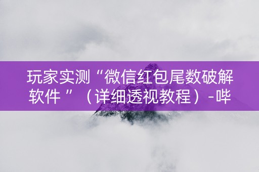 玩家实测“微信红包尾数破解软件 ”（详细透视教程）-哔哩哔哩