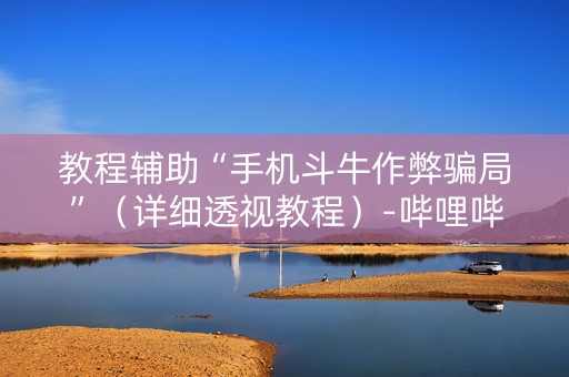教程辅助“手机斗牛作弊骗局”（详细透视教程）-哔哩哔哩