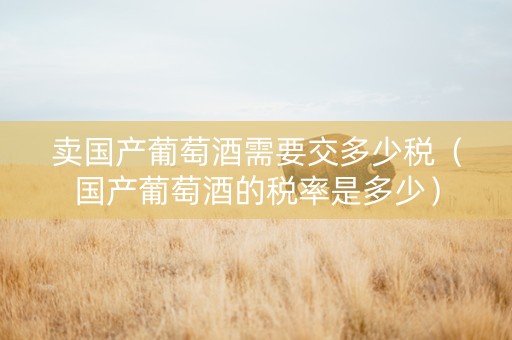 卖国产葡萄酒需要交多少税（国产葡萄酒的税率是多少）