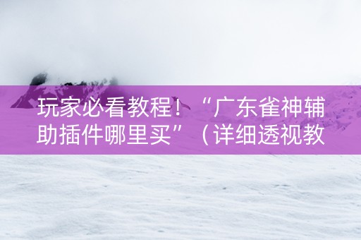 玩家必看教程！“广东雀神辅助插件哪里买”（详细透视教程）-哔哩哔哩