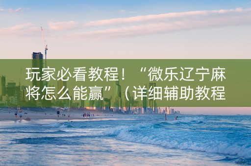 玩家必看教程！“微乐辽宁麻将怎么能赢”（详细辅助教程）-哔哩哔哩