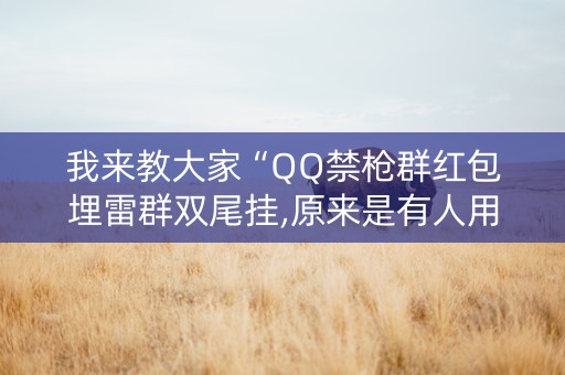 我来教大家“QQ禁枪群红包埋雷群双尾挂,原来是有人用开挂”（详细透视教程）-哔哩哔哩