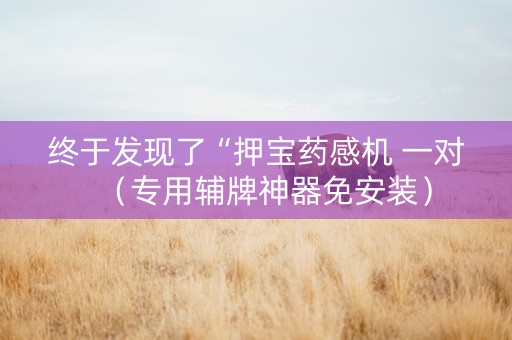终于发现了“押宝药感机 一对（专用辅牌神器免安装）