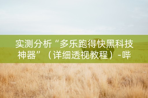 实测分析“多乐跑得快黑科技神器”（详细透视教程）-哔哩哔哩