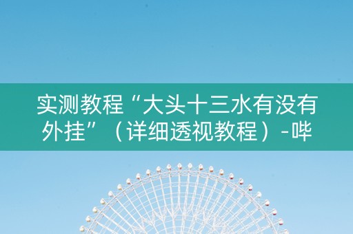 实测教程“大头十三水有没有外挂”（详细透视教程）-哔哩哔哩