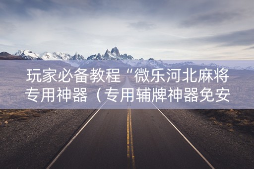 玩家必备教程“微乐河北麻将专用神器（专用辅牌神器免安装）