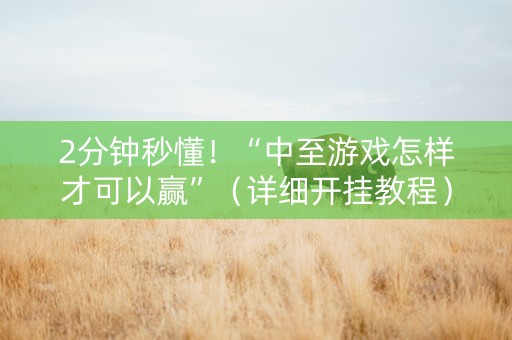 2分钟秒懂！“中至游戏怎样才可以赢”（详细开挂教程）-哔哩哔哩