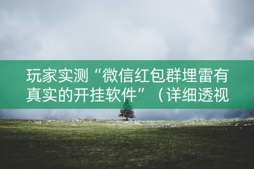 玩家实测“微信红包群埋雷有真实的开挂软件”（详细透视教程）-哔哩哔哩