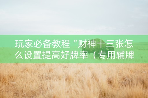 玩家必备教程“财神十三张怎么设置提高好牌率（专用辅牌神器免安装）