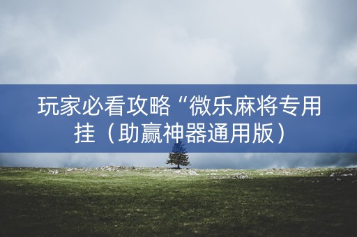 玩家必看攻略“微乐麻将专用挂（助赢神器通用版）